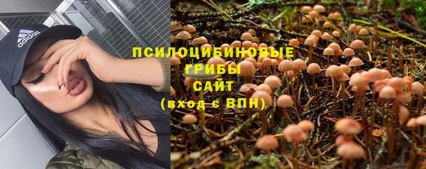 тгк Алексеевка
